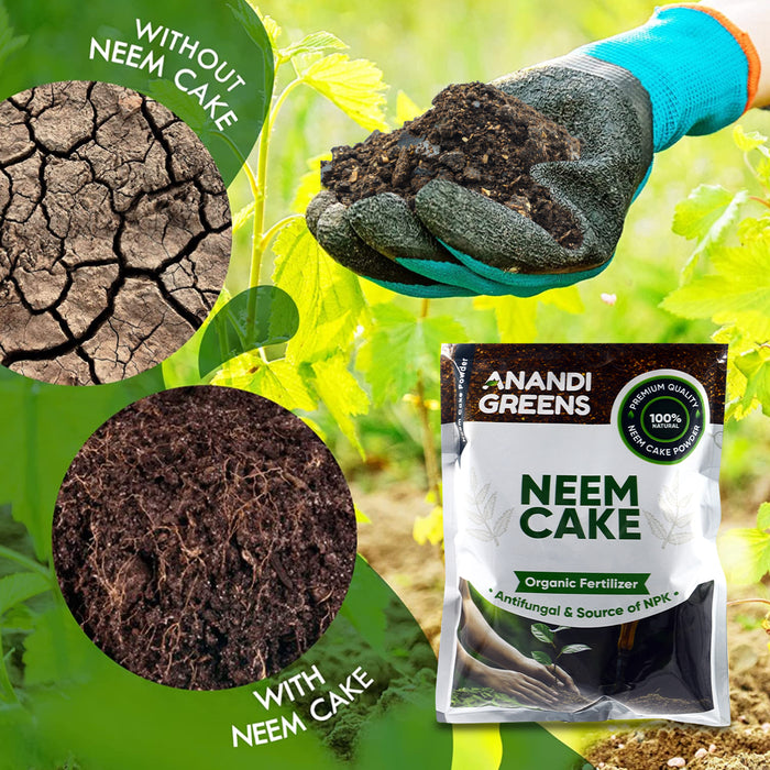 The Good Garden Co. Concentrated Neem Cake Powder 10KG 100% Pure Organic  Fertilizer for Plants Fertilizer Price in India - Buy The Good Garden Co.  Concentrated Neem Cake Powder 10KG 100% Pure