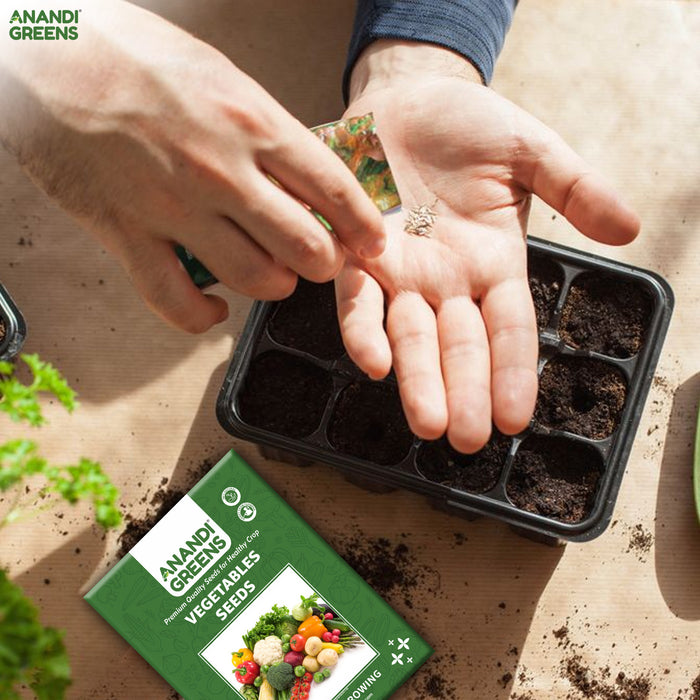 Person-holding-soil-with-a-seedling-tray-and-Anandi-Greens-seed-packet-on-a-wooden-surface