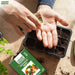 Person-holding-soil-with-a-seedling-tray-and-Anandi-Greens-seed-packet-on-a-wooden-surface