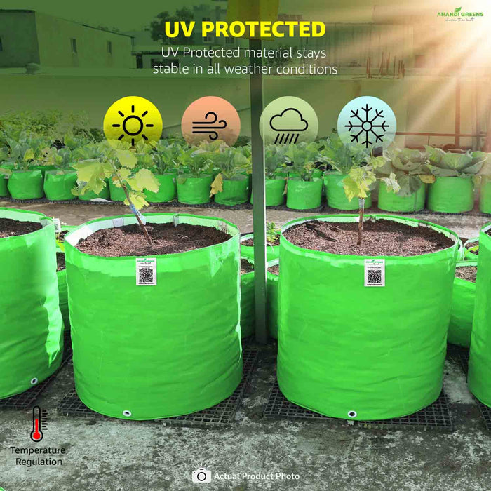Green UV-protected grow bags with plants inside, featuring weather icons and text.
