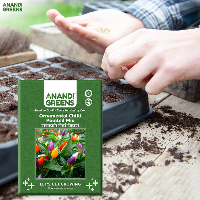Anandi-Greens-seed-packet-with-hands-planting-seeds-in-a-tray
