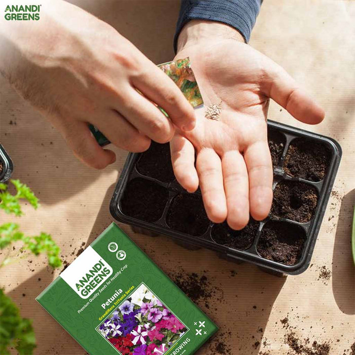 Petunia – Grandiflora-TriTunia-Series-F1