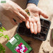 Vinca – Pacifica-Series-F1
