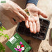 Vinca – Sun-Jewels-Mix-F1