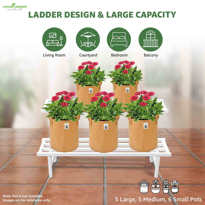 Potted plants on a ladder design with labeled capacity for different rooms.