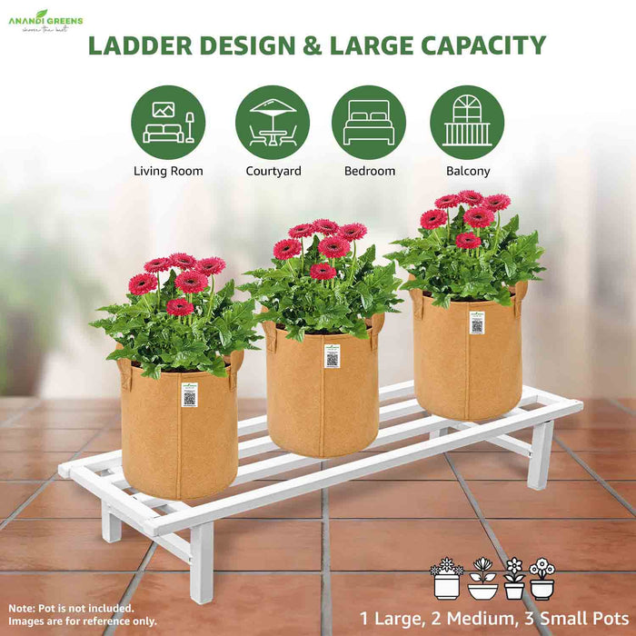 Plant pots on a ladder design with flowers in a living room setting, featuring text about capacity and suitable locations.