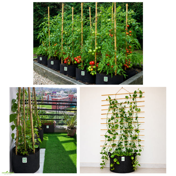 Plant Support Stick-3 ft for Climbing Plants & Vegetables