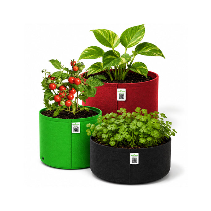 Grow Bags