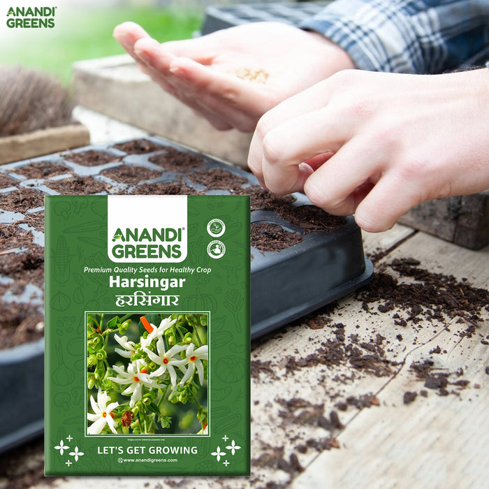 harsingar plant seeds Harsingar Seeds