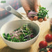 Coriander-Microgreen-Seeds