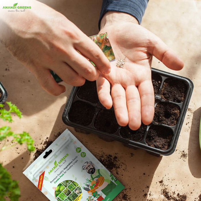 Creeper & Climber Vegetables Seeds Combo Pack – 10 Varieties