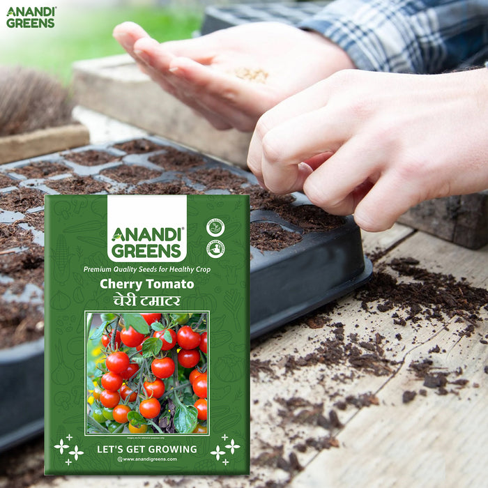 Premium Red Cherry Tomato F1 Hybrid Seeds