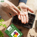 Person-holding-soil-with-a-seedling-tray-and-Anandi-Greens-seed-packet-on-a-wooden-surface