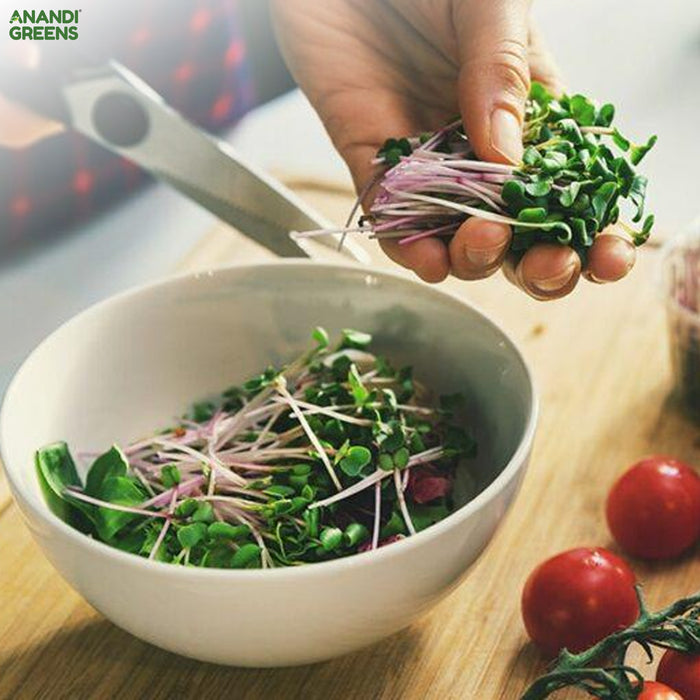 Spinach (पालक माइक्रोग्रीन) Microgreens Seeds