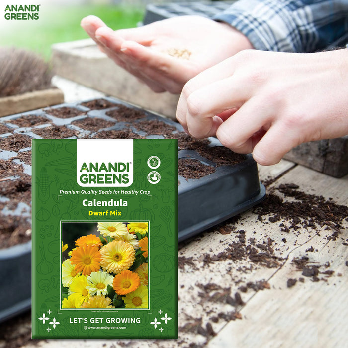 Dwarf-Calendula-Seeds