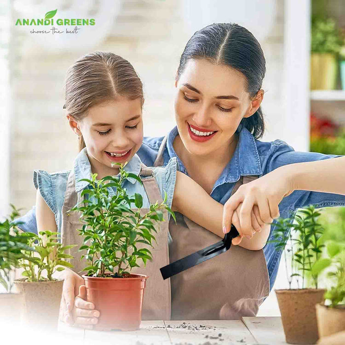 प्लास्टिक हैंडल खुरपी