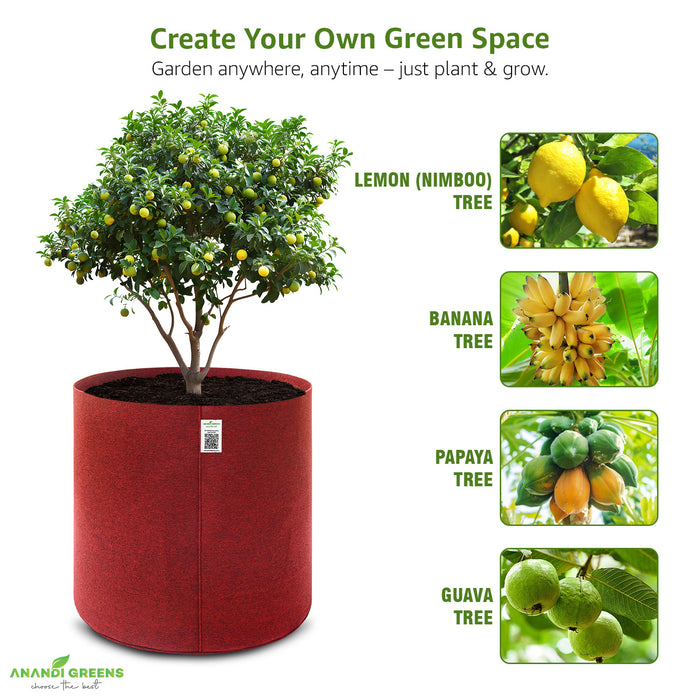 Geo-Fabric-Plant-Grow-Bag-24x24-Inch