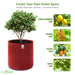 Geo-Fabric-Plant-Grow-Bag-24x24-Inch