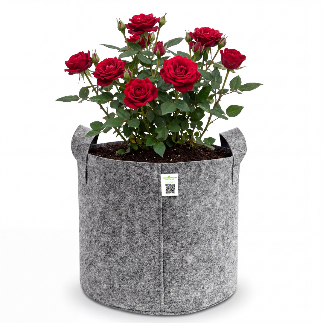 Geo Fabric Grow Bag | 400 GSM