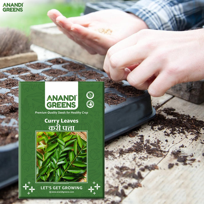 buy curry leaf plant seeds Buy Curry Leaf Seeds Online (20) | करी पत्ता