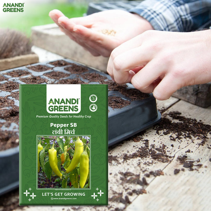 Anandi-Greens-pepper-seed-packet-with-hands-planting-seeds-in-a-tray