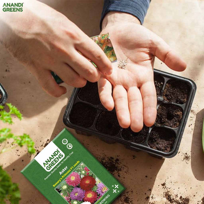 Person holding soil with a seedling tray and Anandi Greens seed packet on a wooden surface