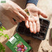 Person holding soil with a seedling tray and Anandi Greens seed packet on a wooden surface