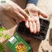 Calendula – Touch-of-Red-Mix-F1