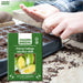 Chinese-Cabbage-Seeds 