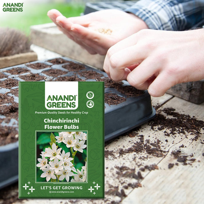 Chinchirinchi-Flower-Bulbs-Pouch