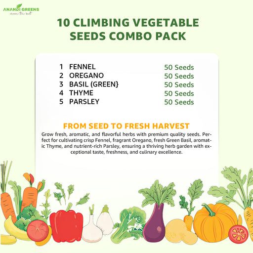 5 Culinary Herb Seeds Combo for Home Garden