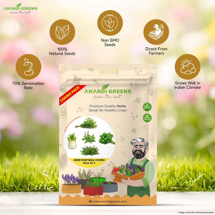 5_Culinary_Herb_Seeds_Combo for Home Gardening