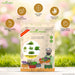 5_Culinary_Herb_Seeds_Combo for Home Gardening