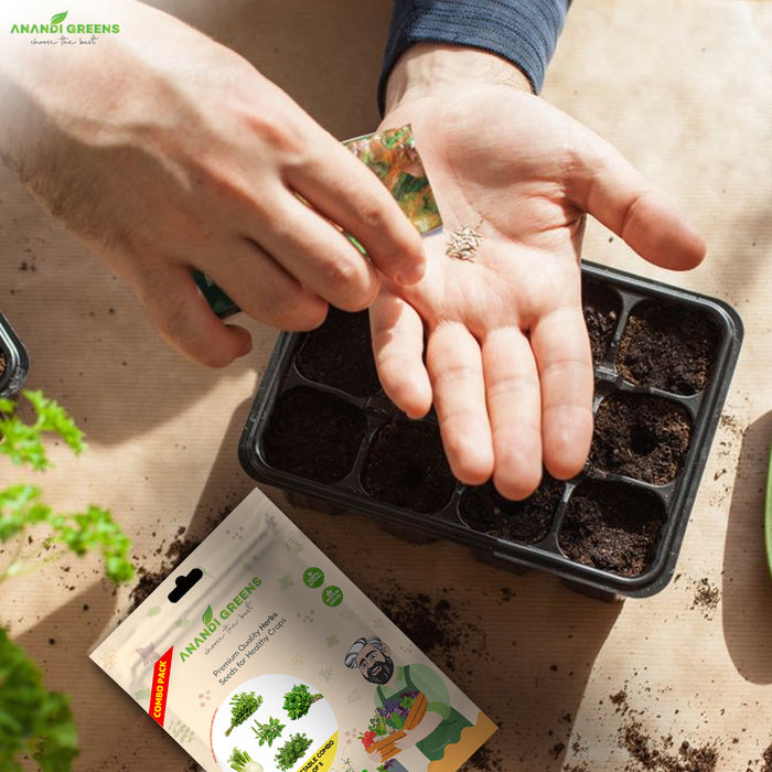 5_Culinary_Herb_Seeds_Combo.  for home & Terrace garden