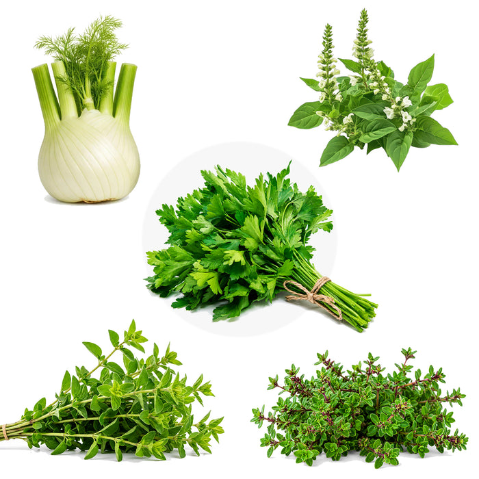 5 Culinary Herb Seeds Combo for Home Garden