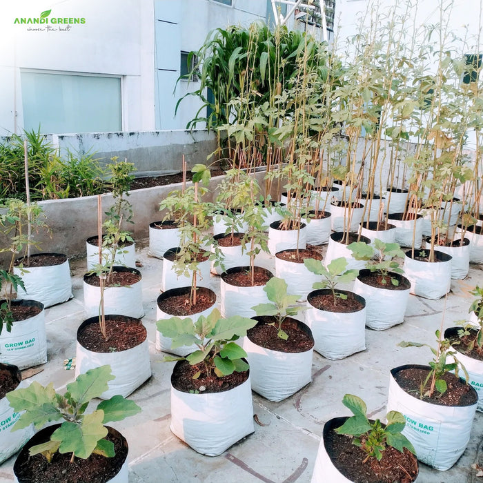 LDPE-Double-layer-Grow-Bag