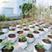 LDPE-Double-layer-Grow-Bag