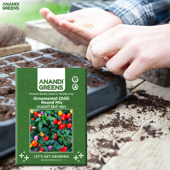 Anandi-Greens-seed-packet-with-hands-planting-seeds-in-a-tray