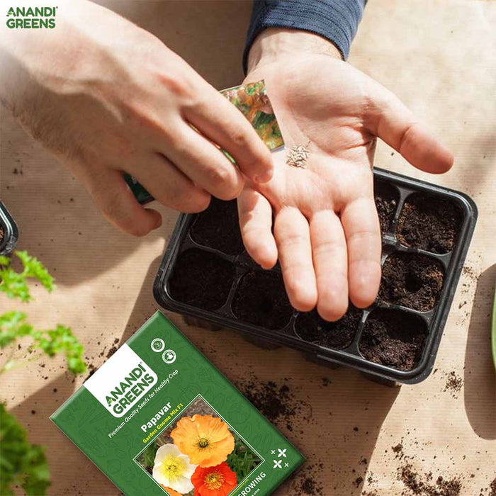 Papaver – Garden-Gnome-Mix-F1