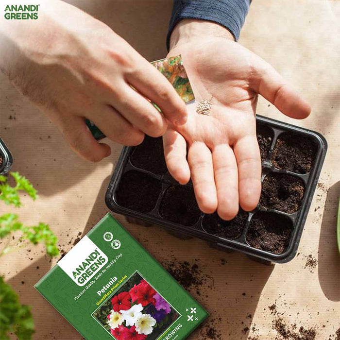 Petunia – Grandiflora-Prism-Series-F1