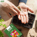 Portulaca – Happy-Trails-Series-F1