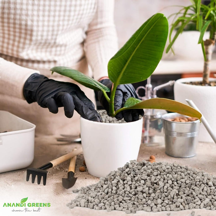 Pumice-Stone-for-Gardening