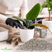 Pumice-Stone-for-Gardening