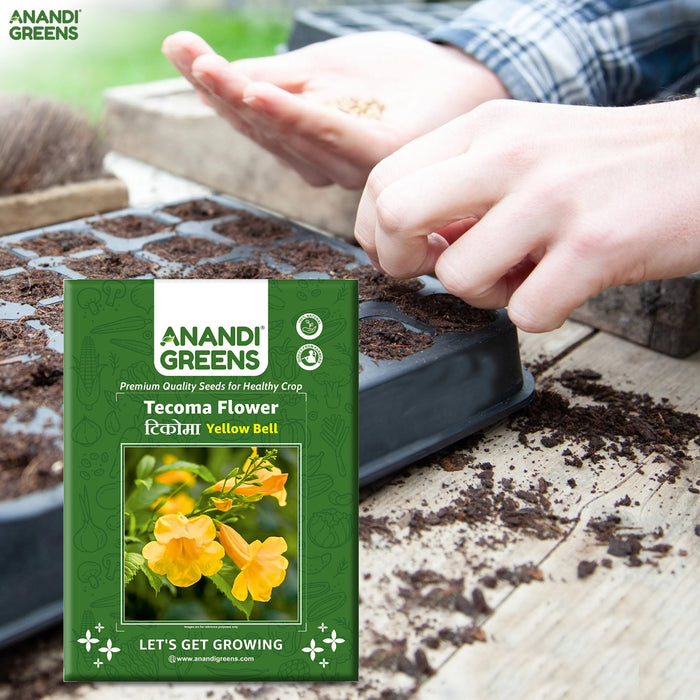 Anandi-Greens-seed-packet-with-hands-planting-seeds-tray