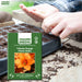 Tritonia-Orange-Flower-Bulbs-Pouch