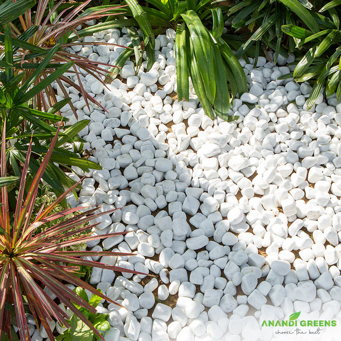 White Unpolished Decorative Stones – सफ़ेद बिना पॉलिश के पत्थर