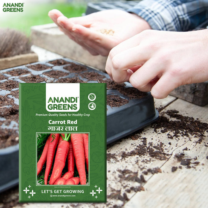 Carrot (Red) लाल गाजर Seeds for Your Garden