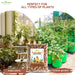 Expanded-Clay-Aggregate-(मिट्टी की गोलियां)-For-Hydroponics-Orchids-&-Drainage
