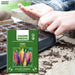 Lupin-(Pixie Mix) – Premium-Open-Pollinated-Seeds