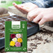 Chrysanthemum-(Paludo Mix) -Premium-Open-Pollinated-Seeds